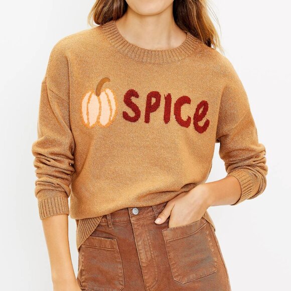 ANN TAYLOR LOFT Pumpkin Spice Sweater Tan Orange ish Marled Graphic Fall Autumn - Picture 1 of 13